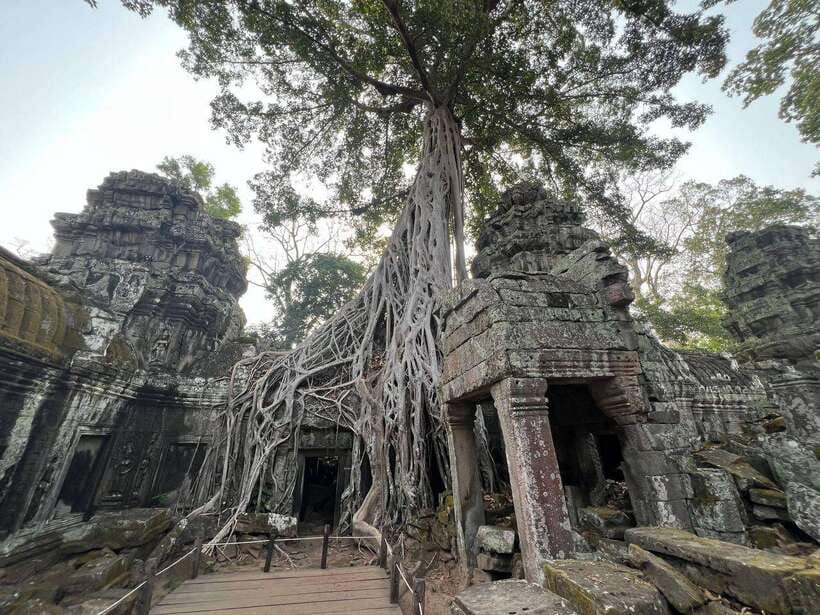 1-Day Angkor Wat Private Tour with Spanish Tour Guide. - 2:00 PM Ta Prohm: the jungle temple and its haunting feel