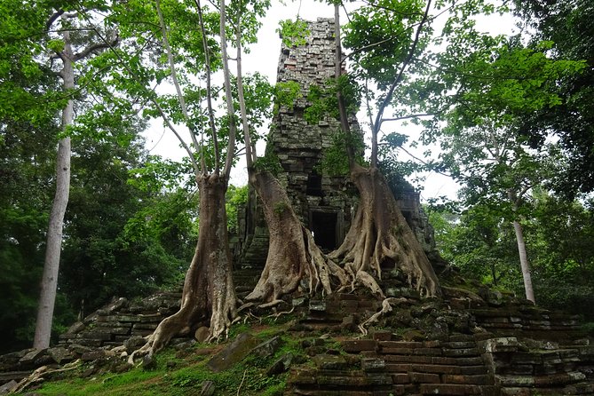 1-Day Angkor Wat Sunrise & All Interesting Temples Private Tour - Ta Nei Temple: the quieter jungle break you’ll appreciate