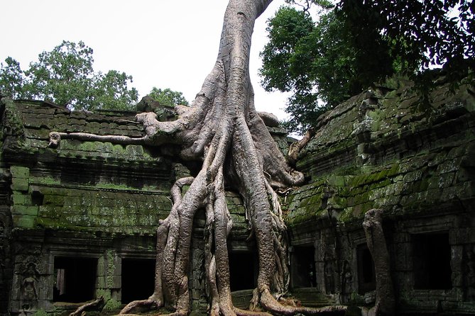 1-Day Angkor Wat Sunrise & All Interesting Temples Private Tour - Angkor Wat sunrise, and the pass you’ll need