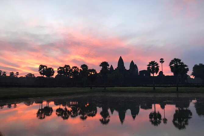1 Day | Angkor Wat Sunrise with Small Tour - Stop 4: Ta Prohm, where trees hold the ruins