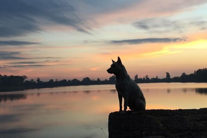 1 Day Angkor Wat with Sunrise Tour - Moving Into Angkor Thom: South Gate’s Smiling Faces and the Bridge Drama