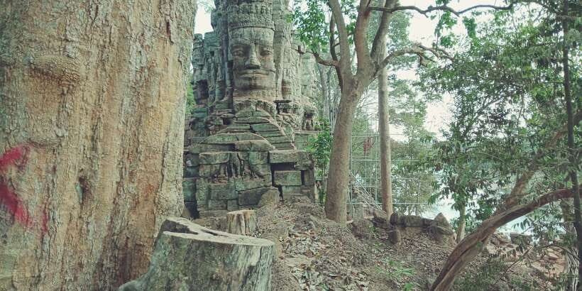 1-Day private Angkor Temple Tour from Siem Reap - Ta Prohm’s trees: when the ruins feel alive