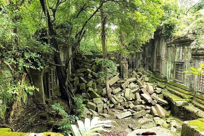 1 day special Tour: Angkor Wat,Bayon,Ta Prohm, Bantey srei and Beng Mealea - Key points to know before you go