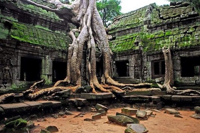 1-Day Tour with Private Transportation and English Speaking Guide - Why This Private Angkor Day Feels Different Than Group Tours