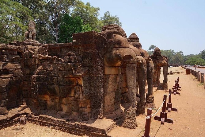1-Day Tour with Private Transportation and English Speaking Guide - Ta Prohm: See the Movie-Set Look, Then Learn What It Actually Was