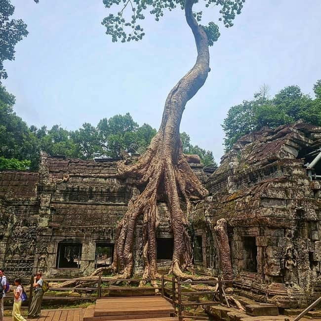 1-Day Trip to Angkor Wat with a Private or Shared Guide in Spanish - Private or Small Group Choice: Tuk-Tuk Freedom vs Van Comfort
