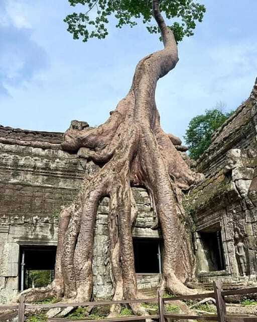 1-Day Trip to Angkor Wat with a Private or Shared Guide in Spanish - Victory Gate to Baphuon: A Short Photo Stop That Changes the Whole Day