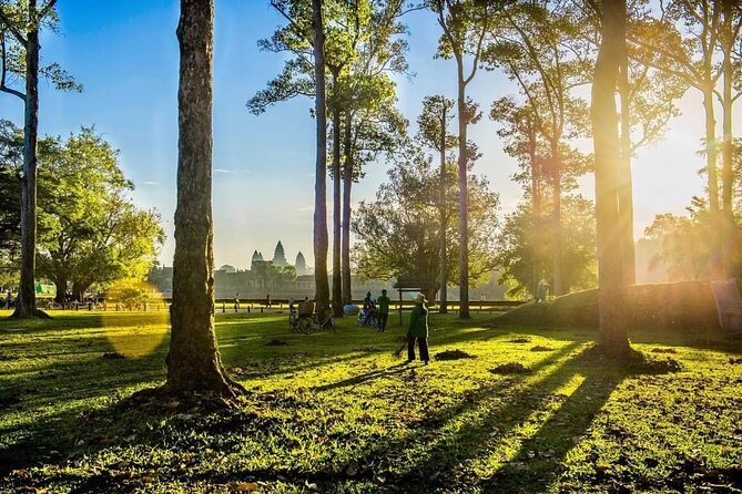 1-Day Uncover The Endless Treasure Of Angkor Tour with Sunset. - Ta Prohm: the tree-in-temple effect needs time and patience