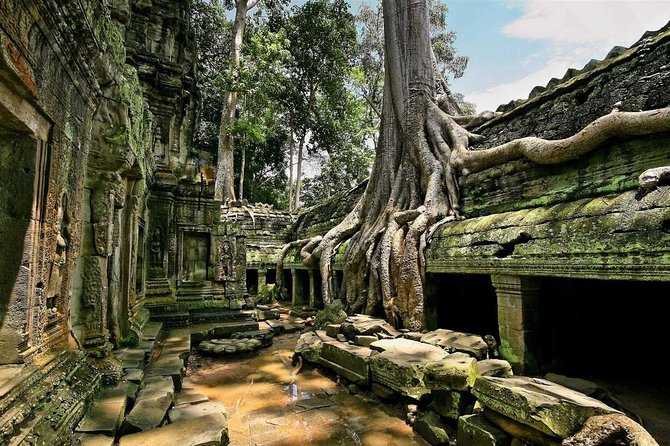 1day private tour all main temple in Angkor,sunset at TonleSap floating village - A/C pickup plus ticket help before you start walking
