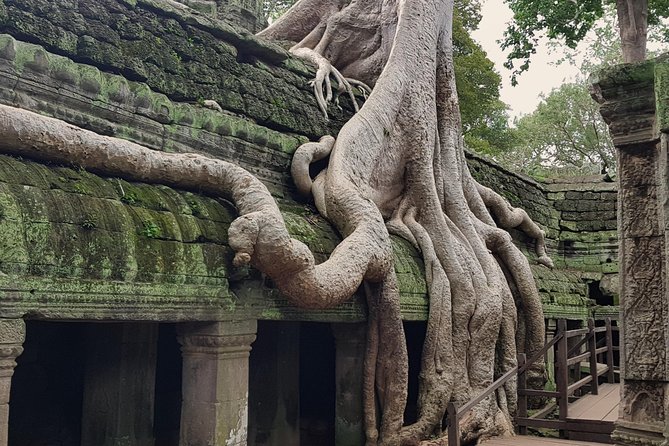1day Private tour, Angkor sunrise,all main temples, Banteay srei - Price and value: $148.72 per group plus tickets and lunch