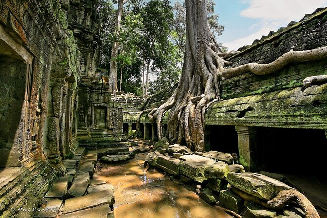 1day private tour to all majestic Temples in Angkor and Sunset - Stop 5: Phimeanakas, a royal-palace compound moment