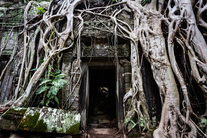 2-Day : Angkor Sunrise, Kompong Phluk Sunset & Banteay Srei Tour - Comfort, dress, and photo tips that actually help