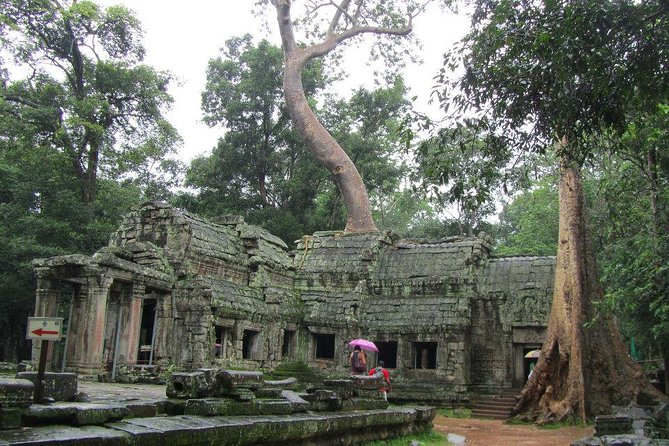 2-Day 'Angkor & Village' Tour - Ta Prohm and the parts you’ll want to slow down for