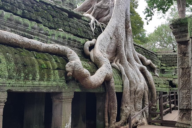 2 Day private tour: Small tour, Big tour, sunrise and sunset,floating village. - Bayon’s giant Buddha faces and Ta Prohm’s jungle stagecraft