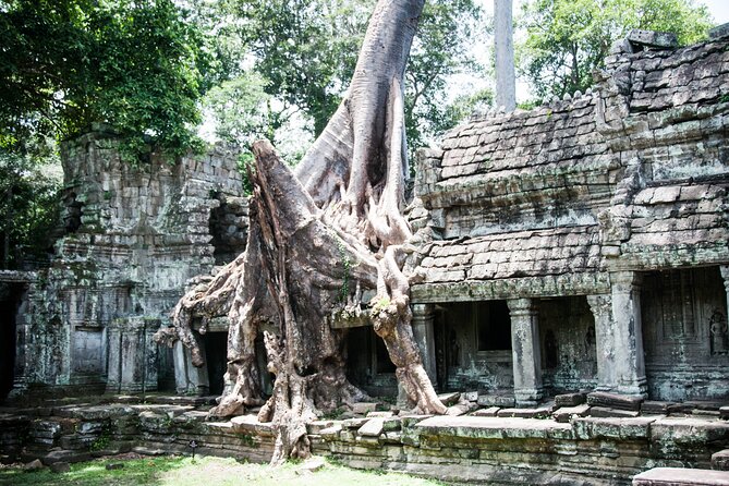 2-Day Siem Reap Angkor Bicycle Experience - Day 2: Ta Prohm’s giant trees and rice noodles in Preah Dak Village