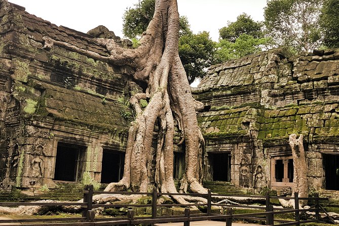 2-Days Private Tour in Angkor Sunrise, Banteay Srei and Beng Mealea Temple - Day Two’s jungle temples: Preah Khan, Neak Pean, and Beng Mealea