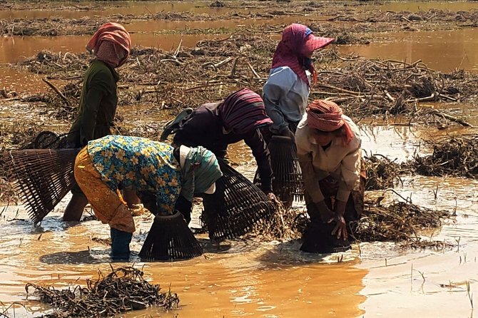 3 day private tour: Angkor,waterfall,Beng Mealea,floating village,Banteay srei. - Tonle Sap floating village: boats for school, monks, and flooded forest