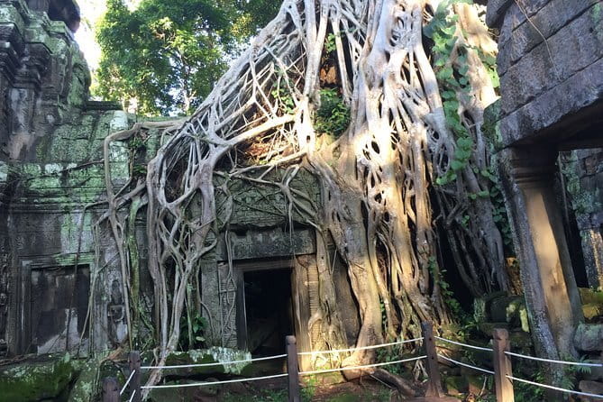 3 Days Private Trip to Angkor Wat from Siem Reap - Private 3 Days at Angkor Wat: What Makes This Worth $95