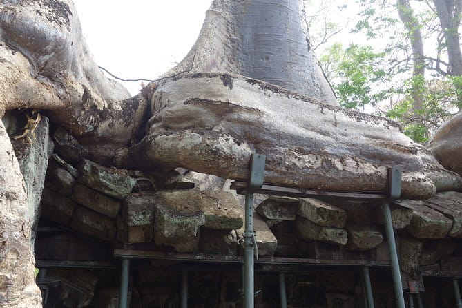 3 Days Private Trip to Angkor Wat from Siem Reap - Day 3: Beng Mealea’s French-Explorer Feel and Kompong Phluk on Stilts