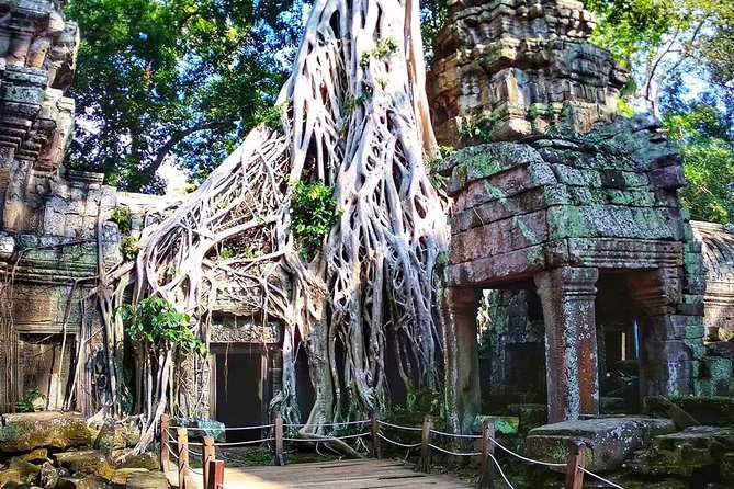 4-Day Tour(The Amazing Face, Jungle of Temple & Holy Clay) - Day 1 in Angkor Thom: South Gate Faces to Ta Prohm Trees