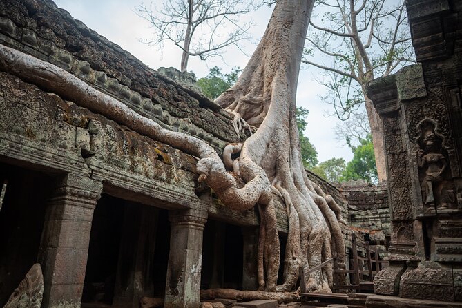 6-hour Angkor Sunrise & Private Tour (Solo, Couple & Family ) - Angkor Thom and Bayon: faces, gates, and Khmer Empire scale