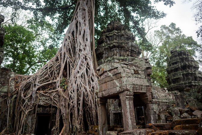 6-hour Angkor Sunrise & Private Tour (Solo, Couple & Family ) - Ta Nie: why this stop is a good reward after the main icons
