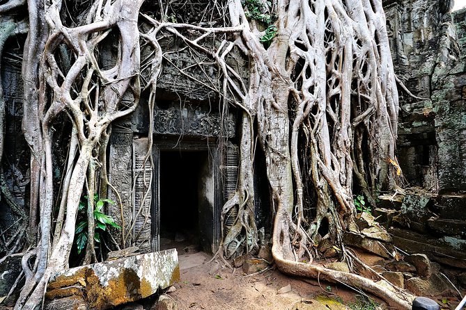 7-must See Temples in Angkor Park (Private Guided Tour) - How the Private Format Changes Your Day