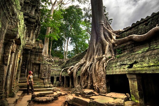 A Day Tour to Magnificent Angkor - Price and logistics: what $20 covers, and what adds up