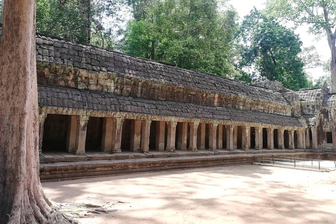 Afternoon Angkor Wat Private Tour with Sunset - Ta Prohm: seeing the tree-covered ruins without turning it into a theme park
