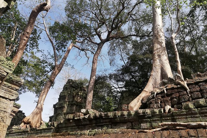 Afternoon Angkor Wat Private Tour with Sunset - Angkor Thom and the South Gate (Tonle Oum): the city behind the temples