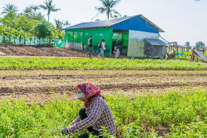 Afternoon Cooking Class & Village Tour in Siem Reap - Mid-afternoon pickup and the ride out past Siem Reap