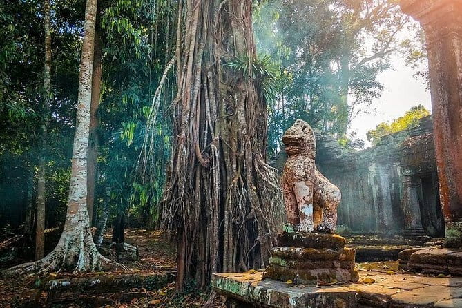 Amazing full day TUKTUK tour - Ta Prohm and the Tomb Raider angle: how to get the most in 2 hours