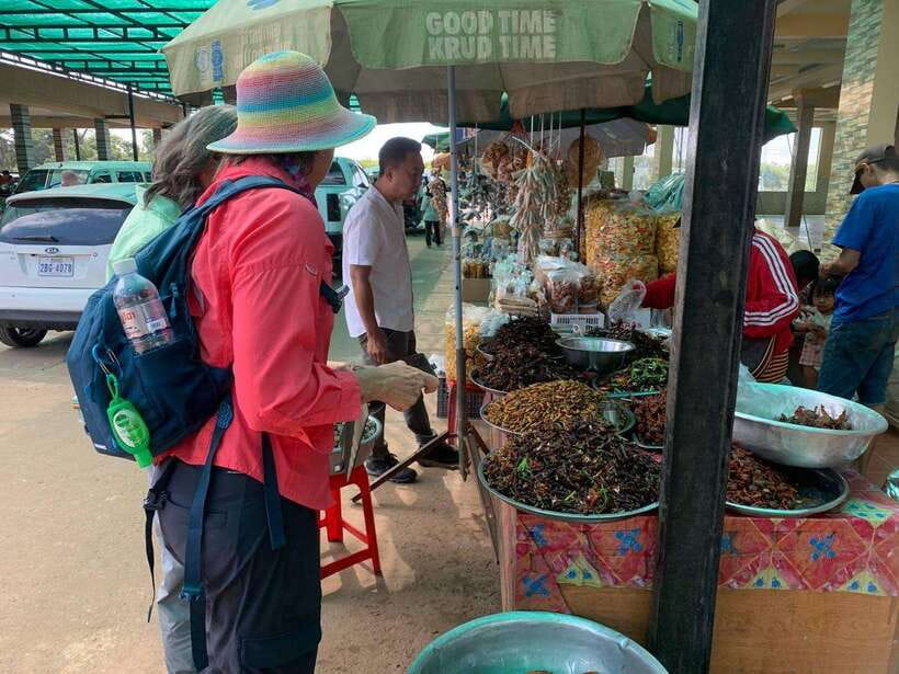An Unforgettable Road Trip from Phnom Penh to Siem Reap - The Van Ride: Pickup, English-Speaking Driver, and Real Comfort