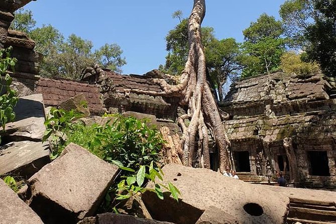 Angkor and Waterfall - Day 2 at Phnom Kulen National Park: reclining Buddha, Thousand Lingas, waterfall