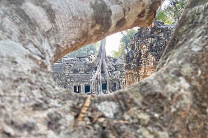 Angkor Cab: Siem Reap 3 day private tour: 'off the beaten track' - Day 2: 5am Angkor Wat sunrise, South Gate photos, Ta Prohm’s mood