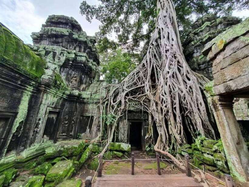 Angkor Cycling Tour - Ta Nie Temple and Jayatataka Baray: a quieter pause with wildlife
