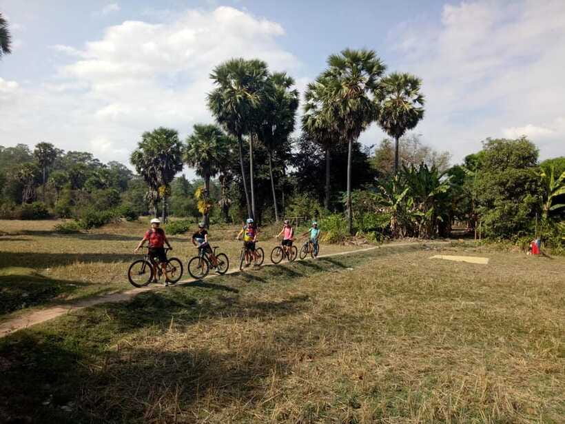 Angkor Cycling Tour - Ta Prohm: the Tomb Raider feel, minus the chaos