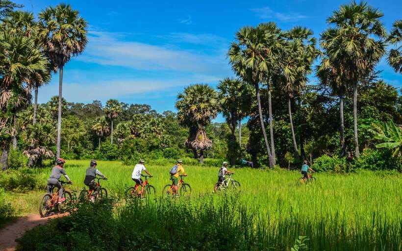 Angkor Jungle Biking Adventure Private Cycling Tour - Angkor Wat: Big Temple Moments Plus Bike-Friendly Timing