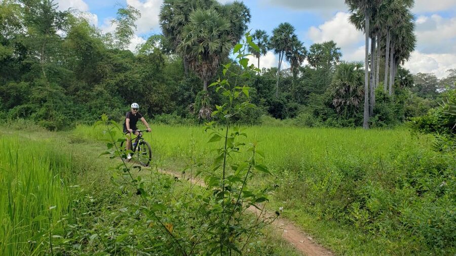 Angkor Jungle Biking Adventure Private Cycling Tour - Ta Nei, Mur d’enceinte, and the Value of the Less-Overcrowded Stops