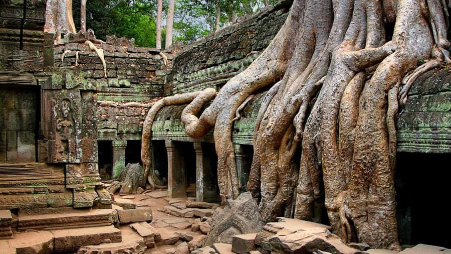 Angkor Region: 3-day Private Tour of Top Temples - Key Points Worth Knowing Before You Go