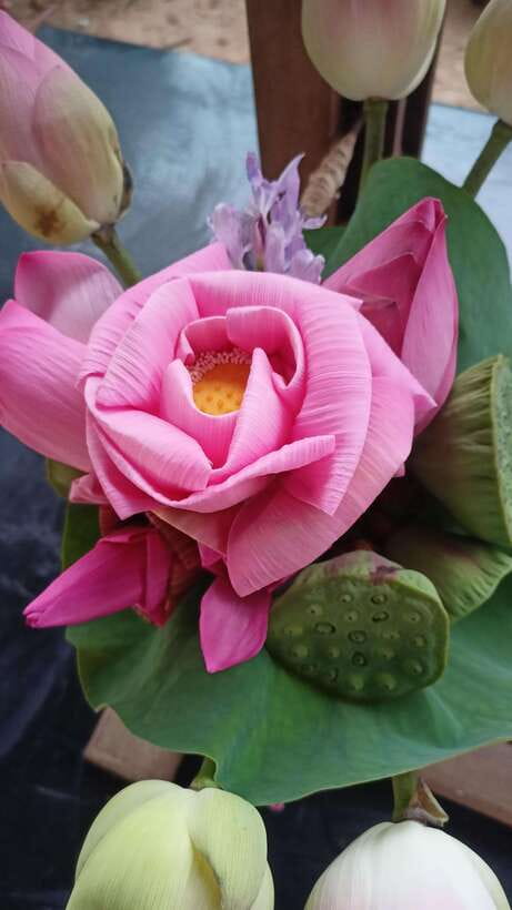 Angkor Silk Farm & Lotus Silk Farm: Siem Reap Discovery Tour - Key things I’d pay attention to