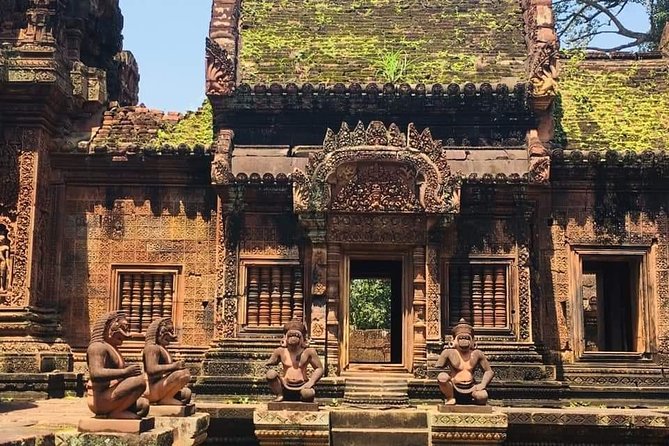 Angkor Temple Sunrise Half Day Tour - Guide quality: what makes this feel more than a transport service