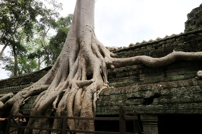Angkor Temples Private Full-Day Tour from Siem Reap (Free Child) - Sunset over the temple complex: making the day end right