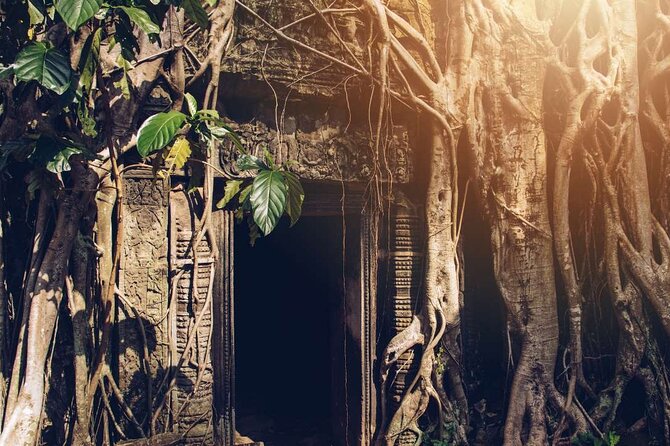 Angkor Thom Ta Prohm and Sunset in Angkor Wat Golden Hour Tour - Ta Prohm Under Massive Roots: Tomb Raider Spots Without the Chaos