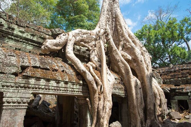Angkor Thom Ta Prohm and Sunset in Angkor Wat Golden Hour Tour - Price and Value: What the $29 Covers and What You Must Add