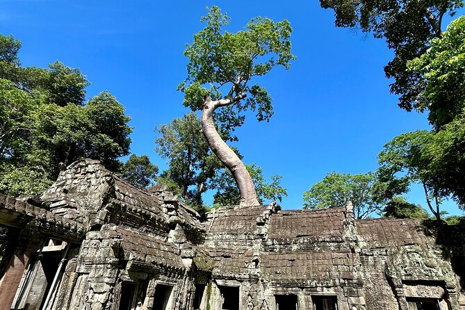 Angkor Wat 1-Day Tour by Private Car or Minivan - Who This Tour Fits Best (And Who Might Prefer Something Else)
