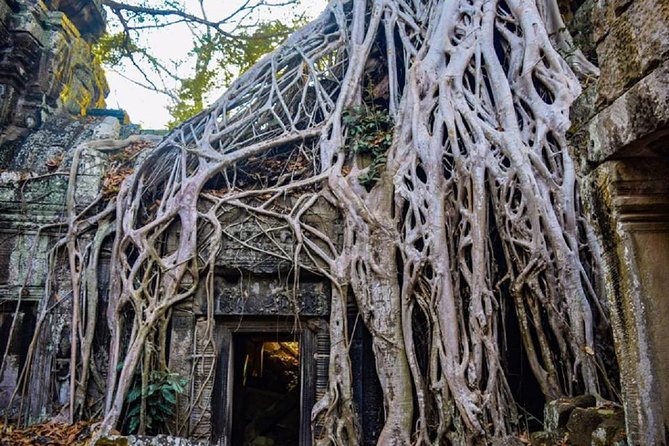 Angkor Wat 1Day Tour With Sunrise - Key highlights from this Angkor Wat Sunrise 1-Day Tour