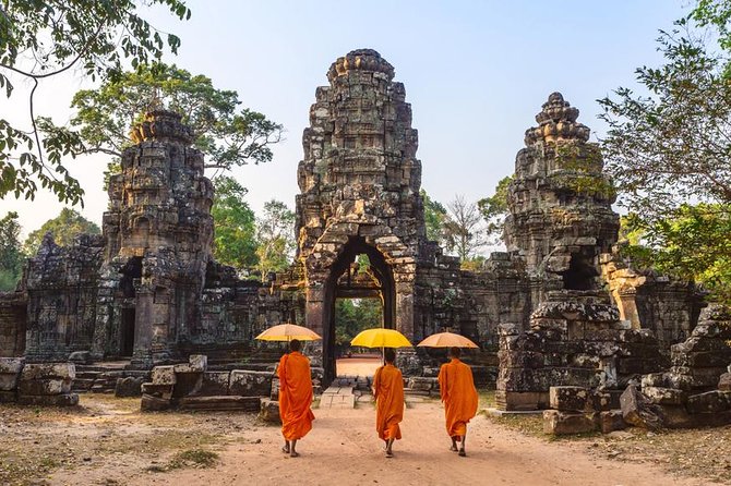 Angkor Wat Admission Ticket - Ta Prohm: the one you’ll remember forever