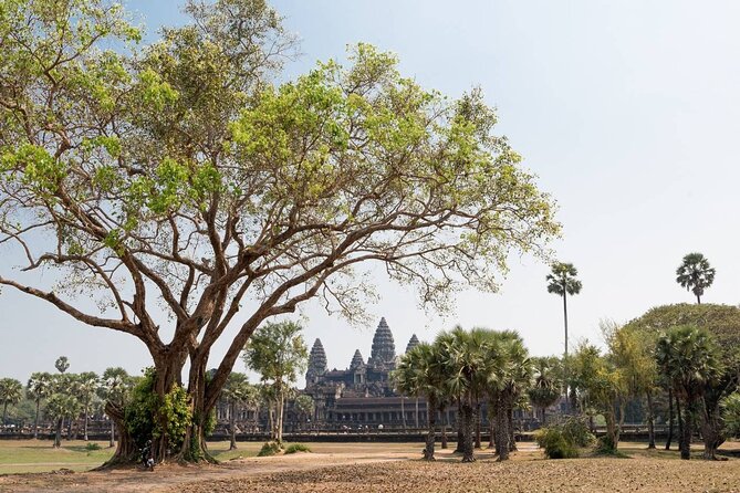 Angkor Wat, Angkor Thom & Elephant Terrace Half-Day Tours - What’s Not Included: Meals, Drinks, Insurance, and Tipping
