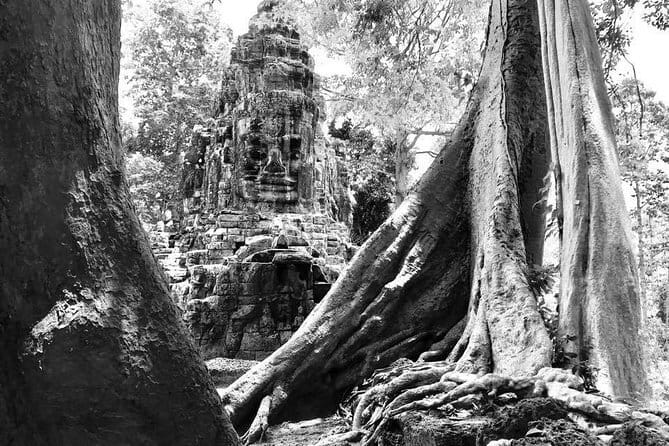 Angkor Wat & Banteay Srei 1-Day Tour - Sunrise-to-temples timing that actually saves your day